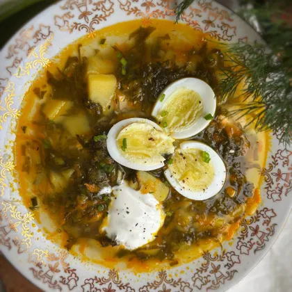 Зелёные щи с курицей и щавелем