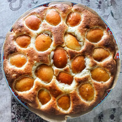 «Творожный пирог с абрикосами»