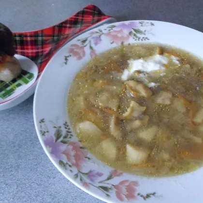 Суп со свежими боровиками