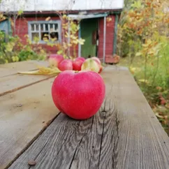 Яблочное🍎🍏 повидло