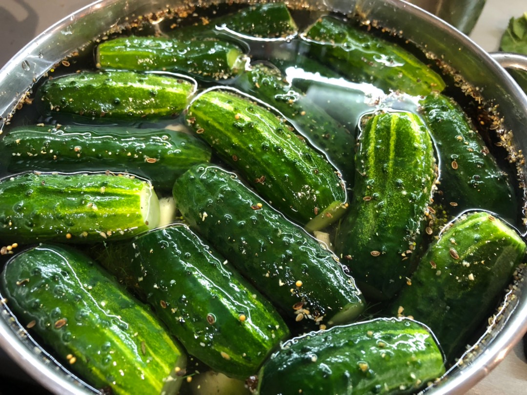 🥒Молосольные огурцы