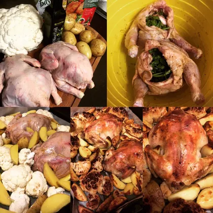 Запечённые цыплята с цветной капустой и картофелем