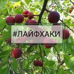 Если начала мутнеть жидкость в банке
