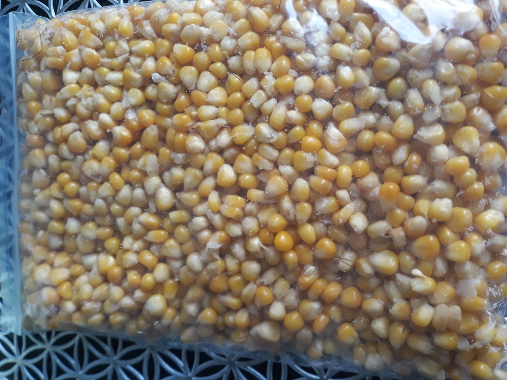 Кукуруза отварная, для заморозки