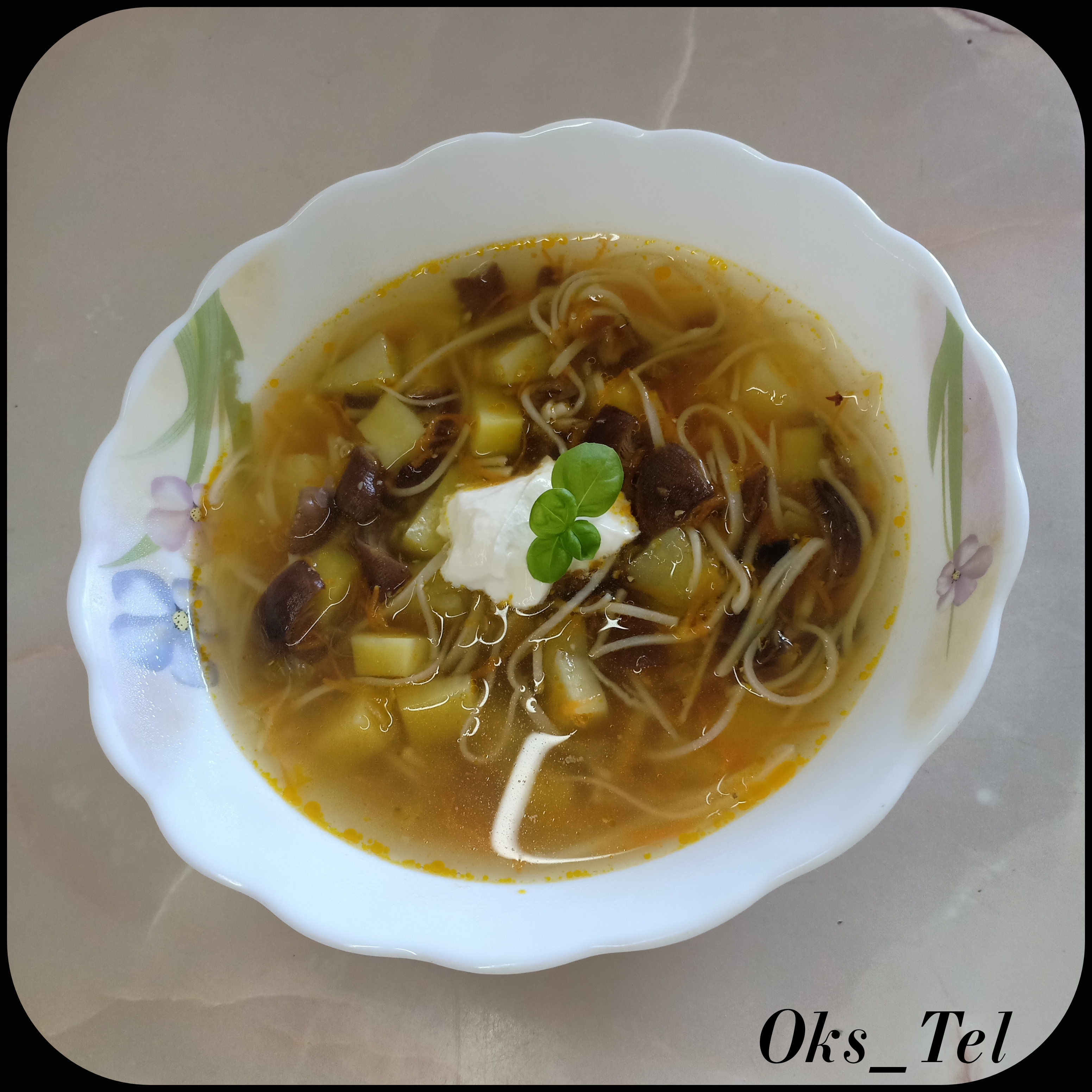 Грибной суп с домашней лапшой - пошаговый рецепт с фото на paraskevat.ru