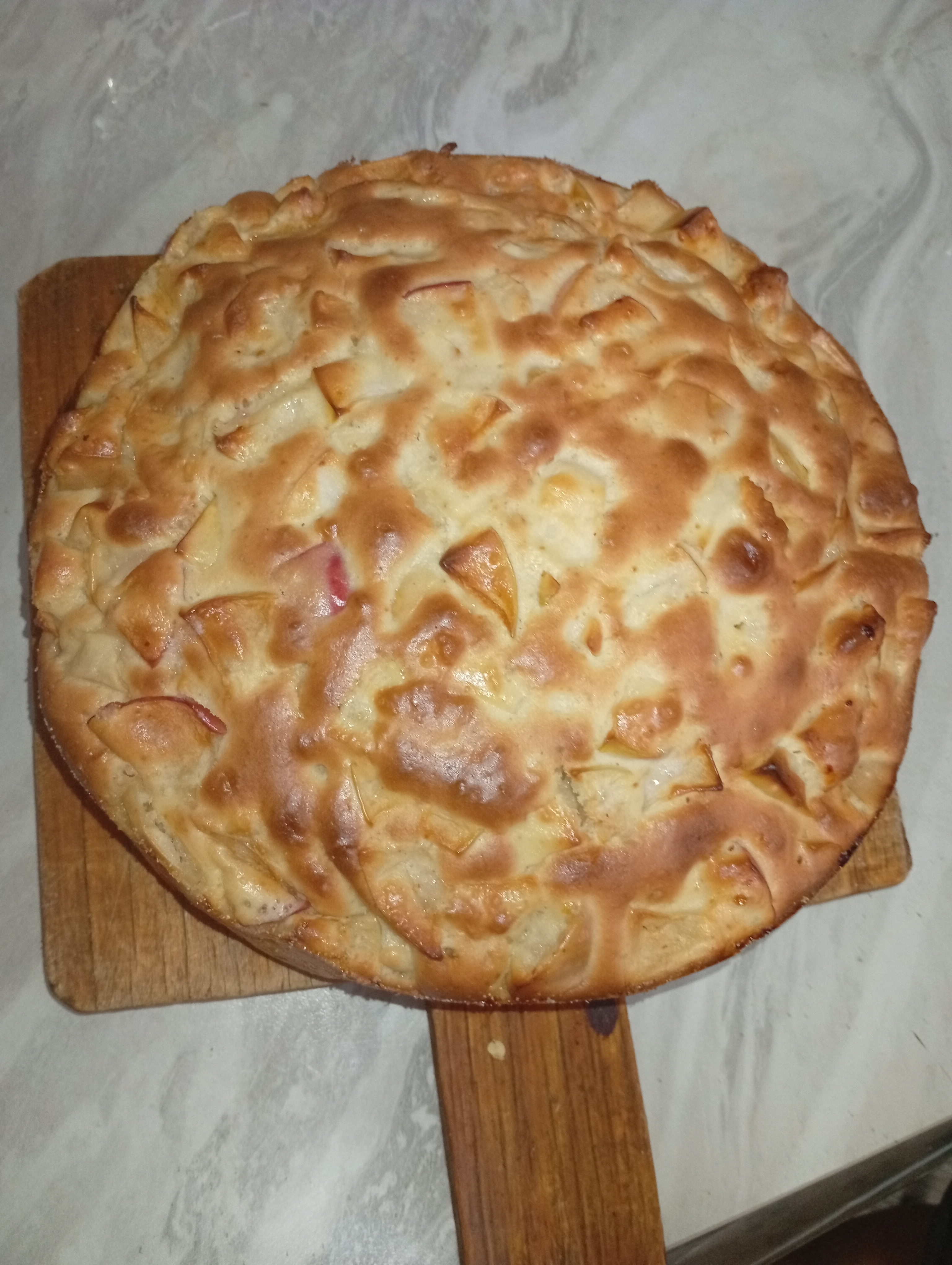 Шарлотка