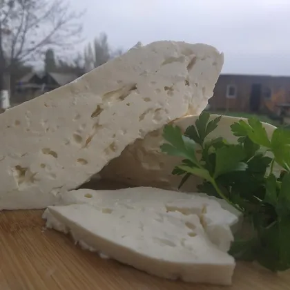Имеретинский сыр 🍷🧀💃 Домашний рецепт