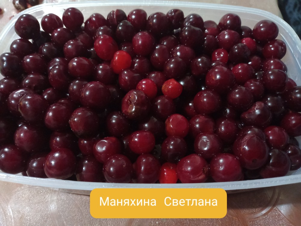 Вишня замороженная