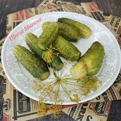Малосольные огурцы 
