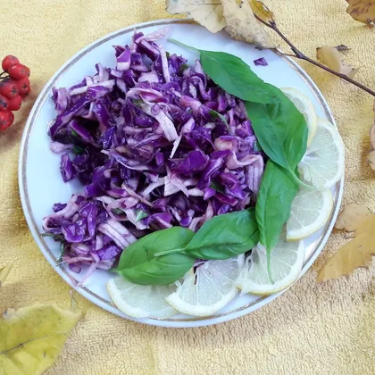 Фитнес-салат с фиолетовой капyстой, имбирем и сельдереем