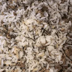 Салат Сайра с рисом