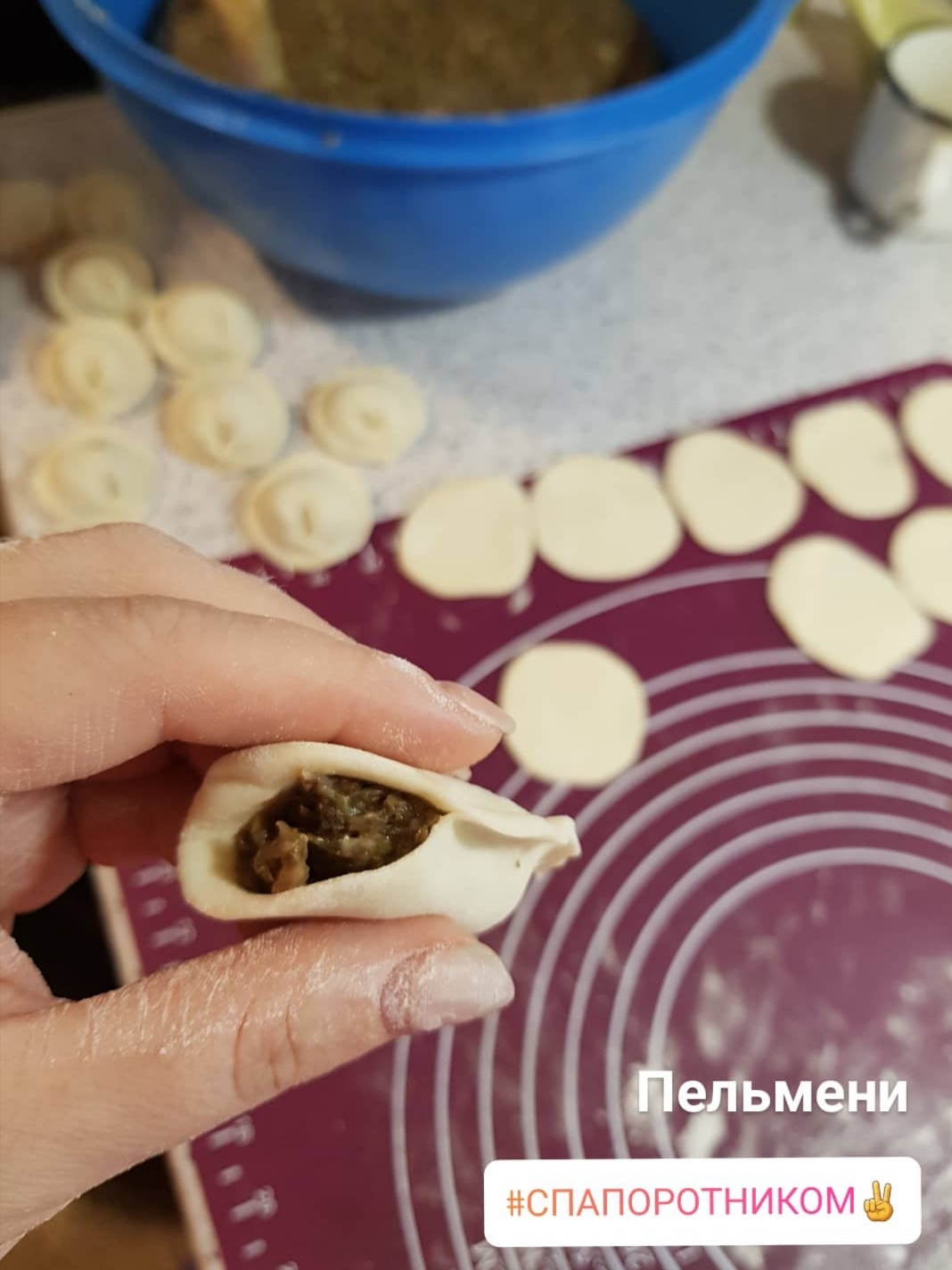 Пельмени с папоротником