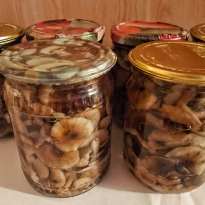 Маринованные опята на зиму