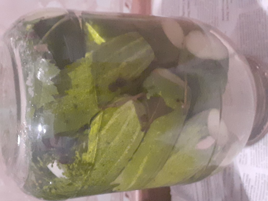 Консервированные огурцы - солёные
