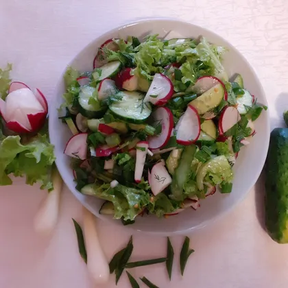 Летний салат с редиской, огурцом и зеленью
