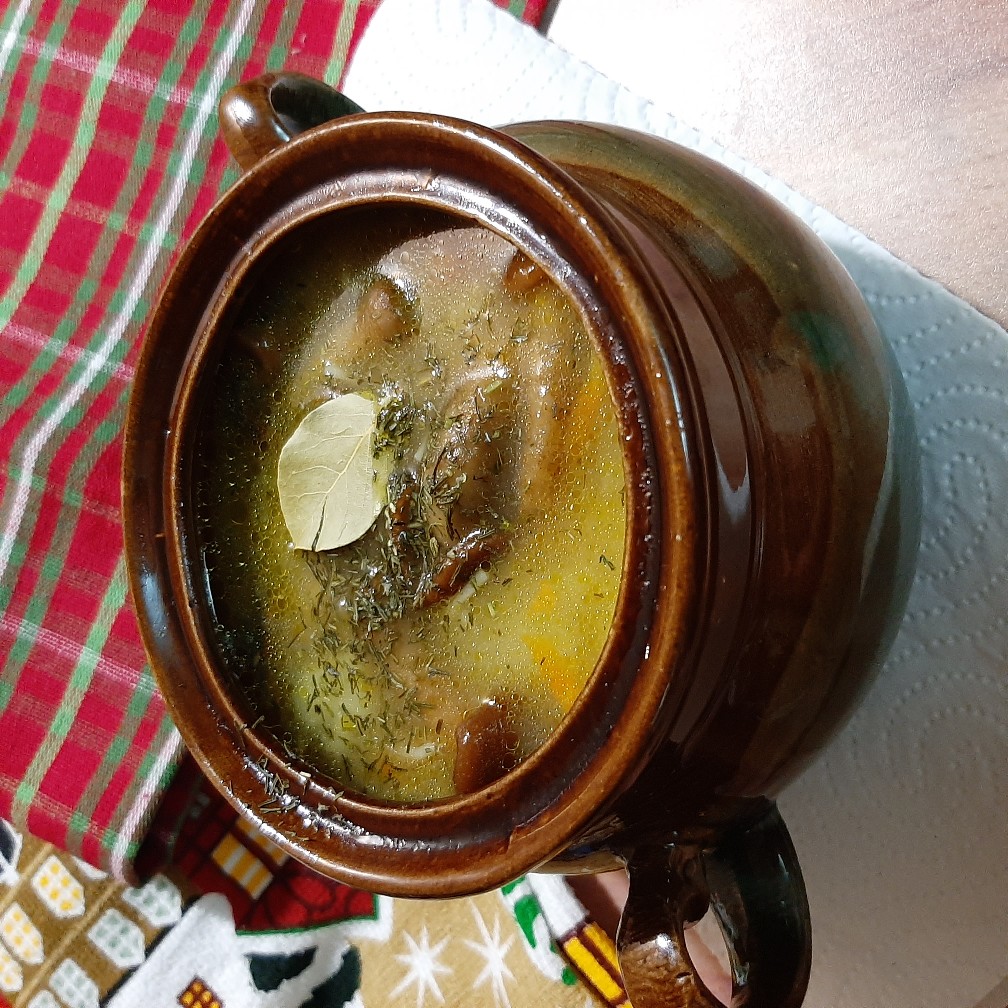 Бабушкин грибной суп