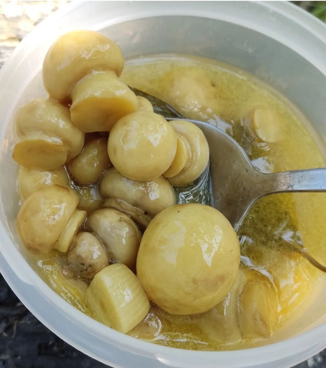 Закусочные шампиньоны быстрого приготовления