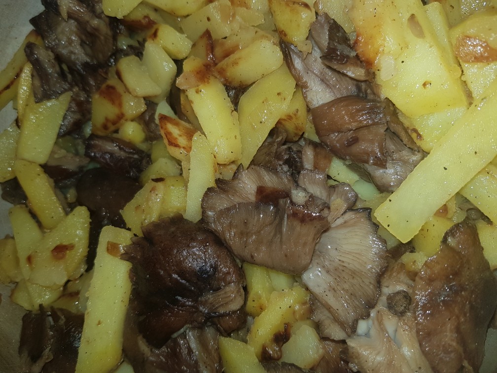 Жареная картошка с вареными грибами (опятами) — рецепт с фото пошагово