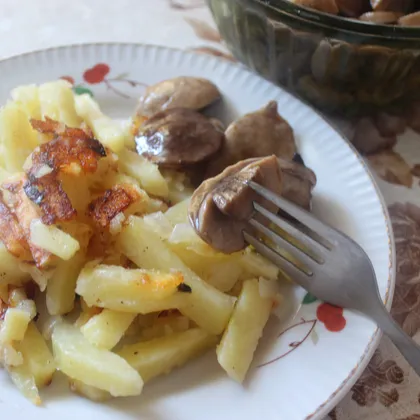 Жареная картошка с маринованными подосиновиками