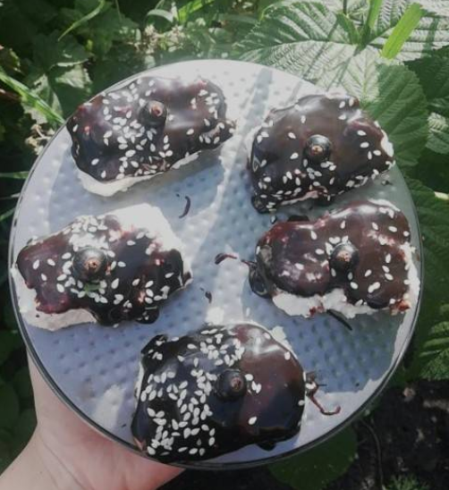 Кокосовые сырки пп