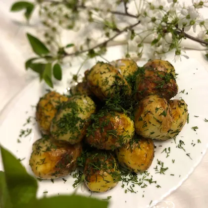 Молодая картошка с укропом