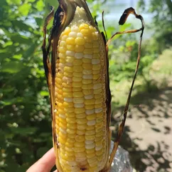 Кукуруза на мангале🌽