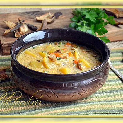 Суп из сушеных опят: как варить, рецепты приготовления с фото