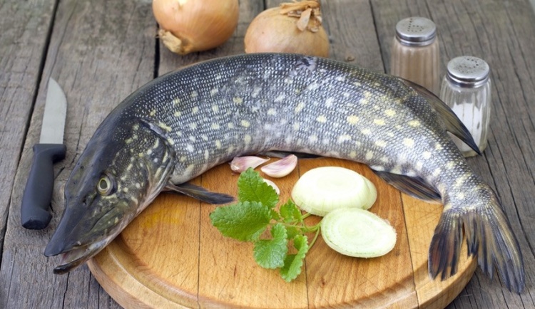 Щука жареная - Пошаговый рецепт с фото. Вторые блюда. Блюда с рыбой и морепродуктами