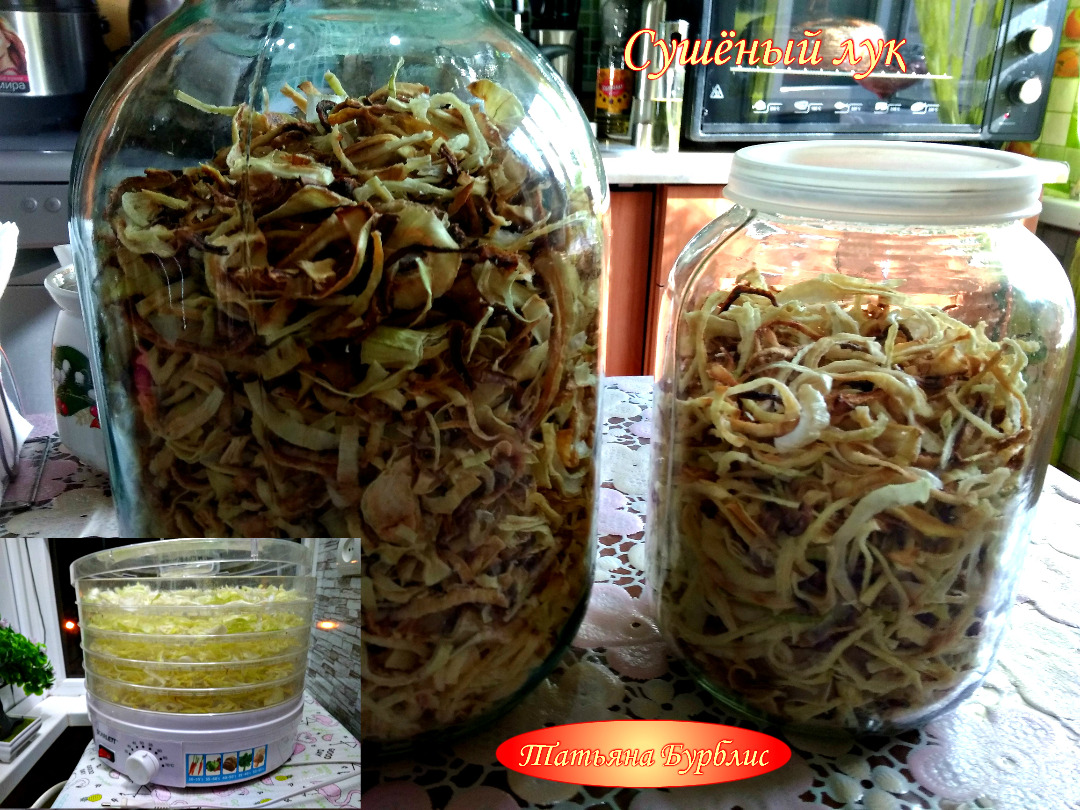 Как сохранить лук. Сушёный лук в электросушилке