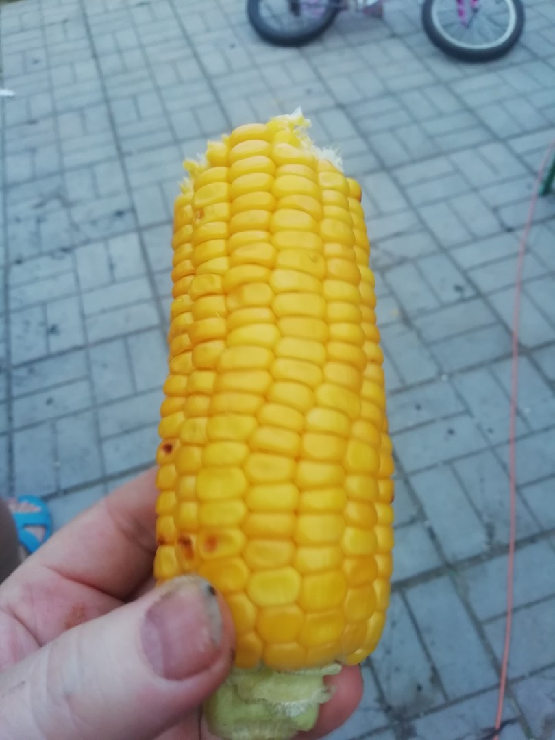 Кукуруза на мангале