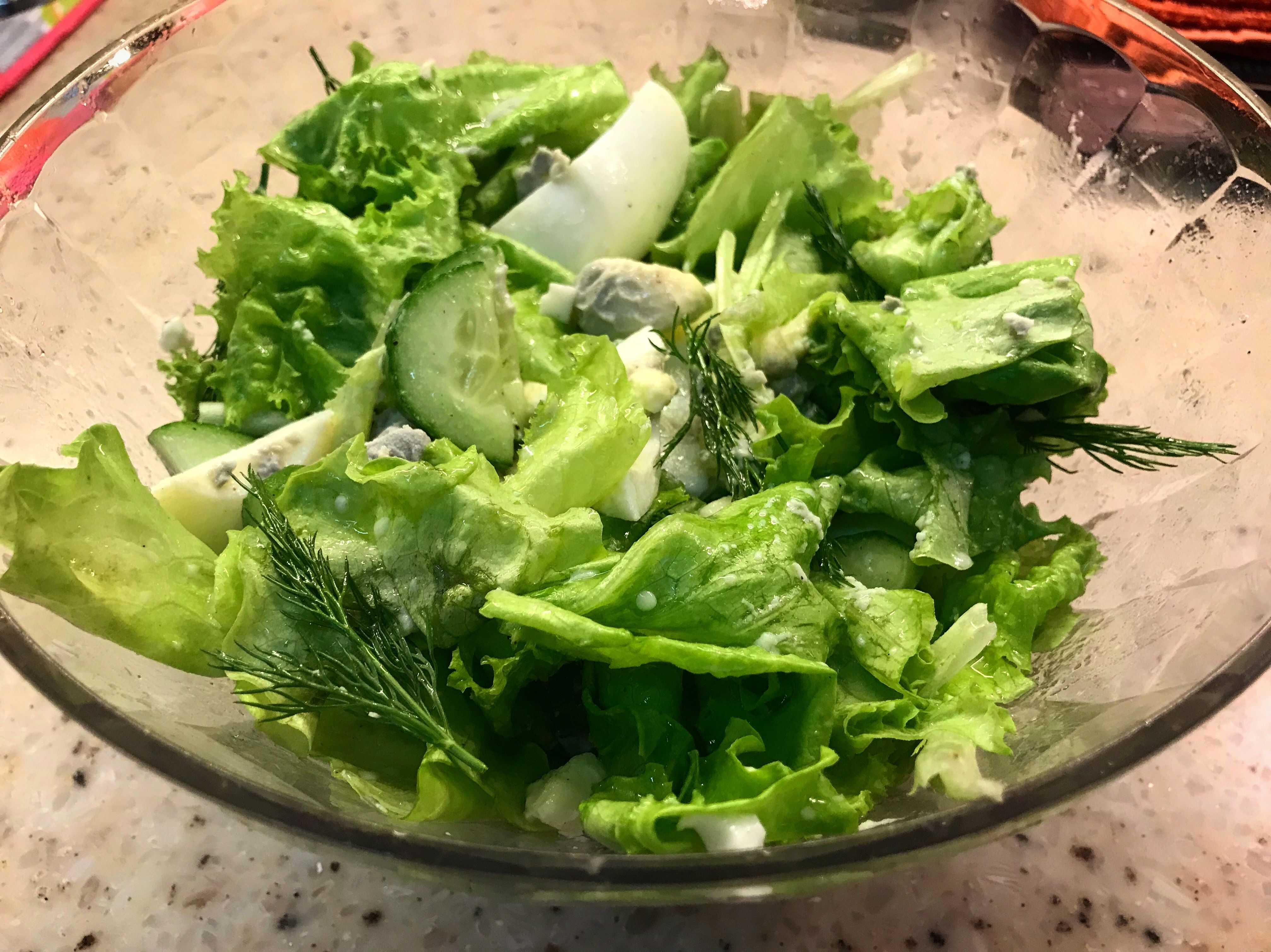 Рецепты простых салатов с зеленым луком. Зеленый салат. Салат зеленый с огурцами. Необычный зеленый салат. Салат с листьями салата и огурцом.