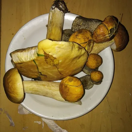 Овощное рагу с лесными грибами