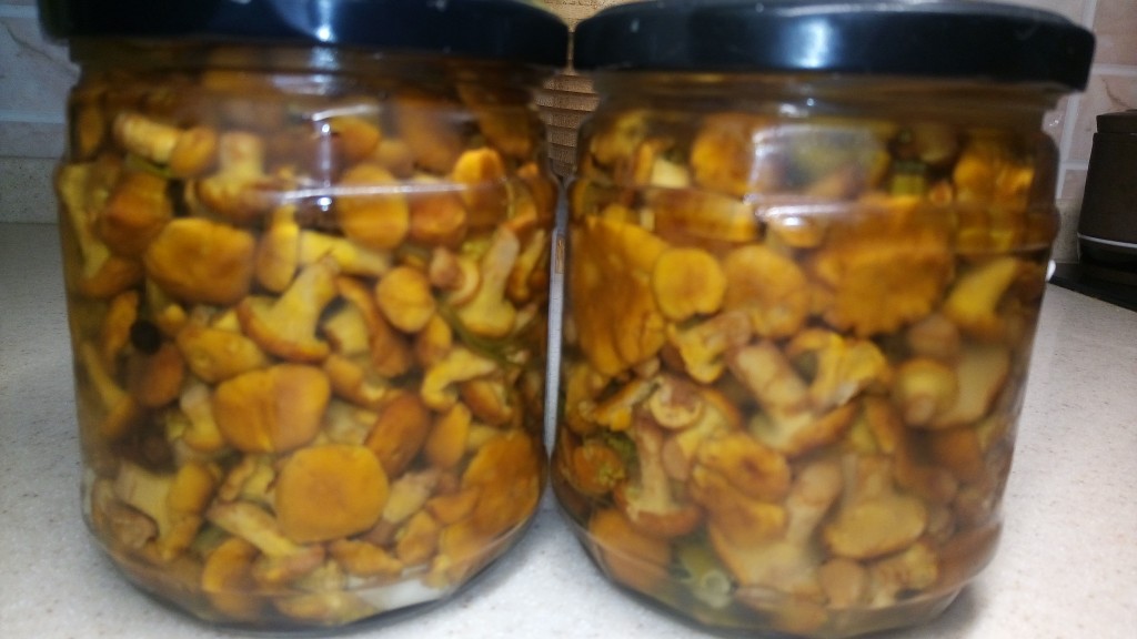 Лисички маринованные