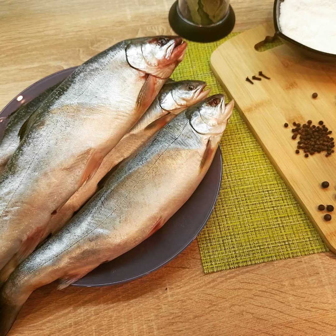 Мурманский Рыболовный Форум • Просмотр темы - Рецепты засолки рыбы!