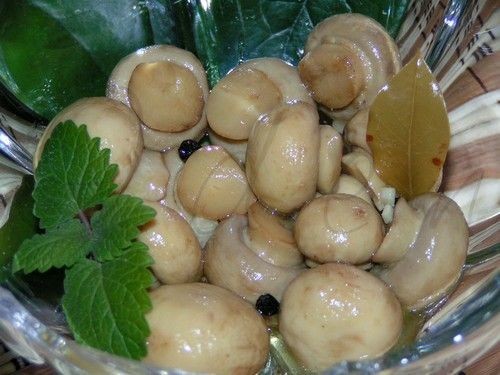 Рецепт приготовления грибов маринованных по-венесуэльски