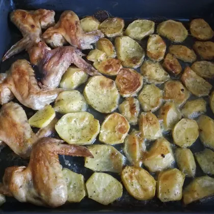 Куриные крылья запеченные в духовке с картофелем