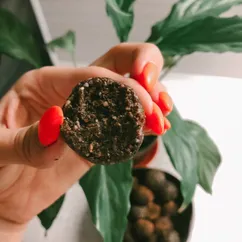 🌱Шококонфетки🍫