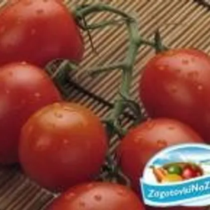 Консервированные помидоры с репчатым луком