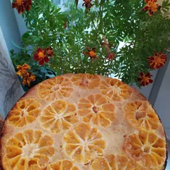 Шарлотка с мандаринами 🍊