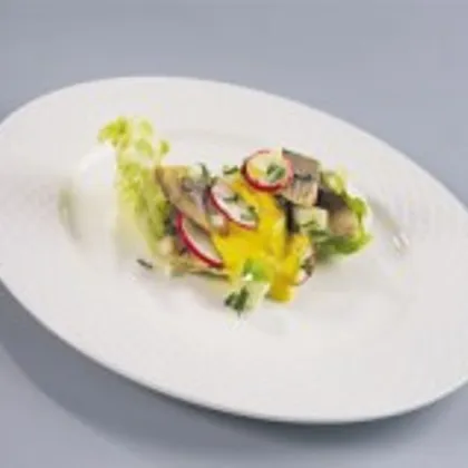 Салат из маринованной норвежской сельди и корнишонов с горчичным соусом