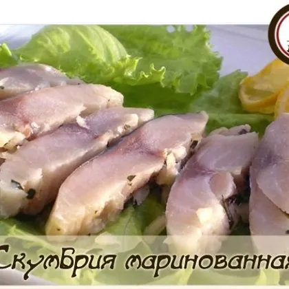 Маринованная скумбрия в домашних условиях