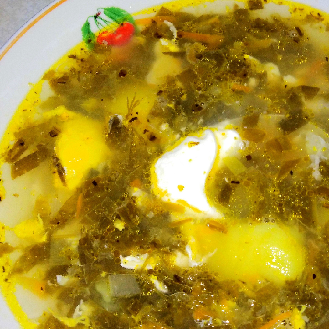 Зеленый суп из щавеля с яйцом и мясом классический