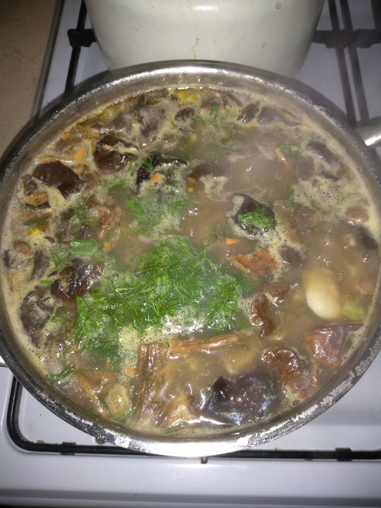Суп с лесными грибами