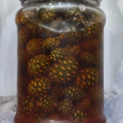 Варенье из сосновых шишек