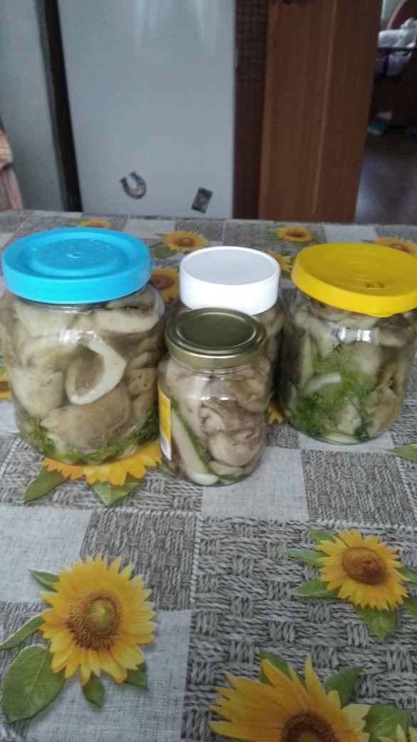 Грузди солёные
