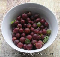 Варенье из крыжовника с орехами и медом