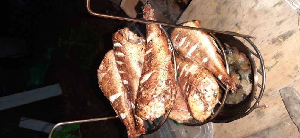 Морской окунь в тандыре