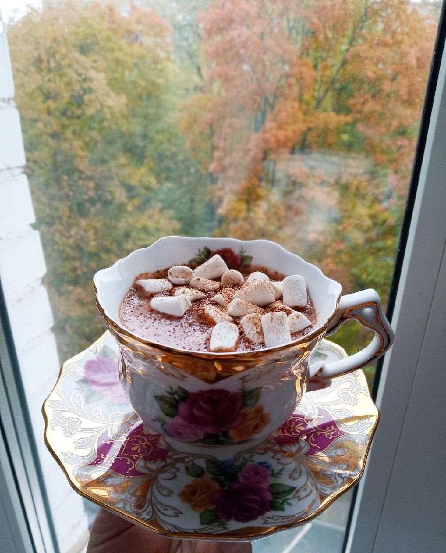 Какао с шоколадом