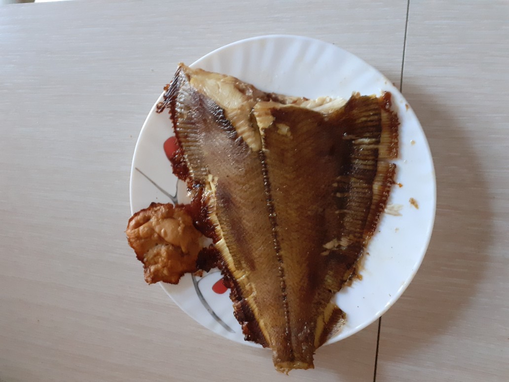 Камбала