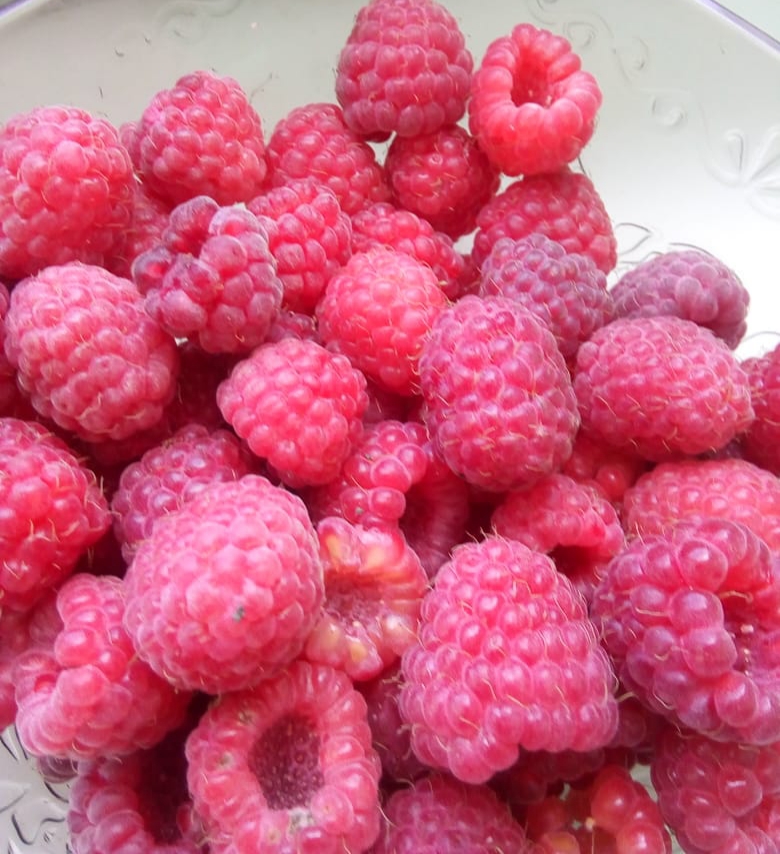 Малина на зиму 🍓